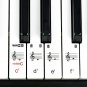 Rockjam 61 Key Keyboard Piano with Pitch Bend Kit, Keyboard Stand, Piano Bench,