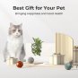 [3 Interactive Modes Smart Interactive Cat Toy, Automatic Moving Bouncing Rollin