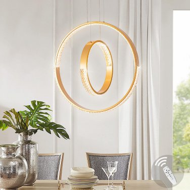 Led 2 Ring Light Modern Ceiling Light Adjustable Height Hanging Light Fixture 40
