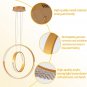 Led 2 Ring Light Modern Ceiling Light Adjustable Height Hanging Light Fixture 40