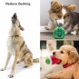 Nocciola Dog Squeaky Toys Cute Plush Small Dog Toys for Small Medium Large Dogs,