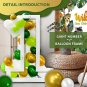 Party Spot&iuml;&frac14;�99 Pcs Wild One Birthday Decorations, Jungle Theme Birthday Decoratio