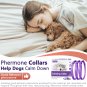 Calm Dog 3-Pack Breakaway Design Calming Collar - Infused with Pheromones and Su