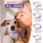 Calm Dog 3-Pack Breakaway Design Calming Collar - Infused with Pheromones and Su