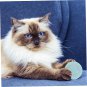 5Pcs Kitten Gravity Wisdom Compact Cat Plaything Cat Automatic Rolling Kitten To