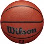 NBA Authentic Series Basketballs