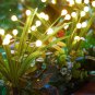 Solar Garden Lights Outdoor - 4 Pack 48 LED Solar Powered Firefly Lights with Le