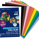 Construction Paper P103031, 10 Classic Colors, 9" X 12", 50 Sheets