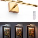 Picture Light with Remote - Dimmable Frame Lights for Wall, Gold Art Light for P