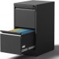 Vertical File Cabinet with Drawers, 2 Drawer File Cabinet for Home Office, Locki