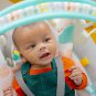 Bright Starts Portable Automatic 6-Speed Baby Swing with Adaptable Speed, Taggie