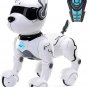 Remote Control Robot Dog Toy, Robots for Kids, Rc Dog Robot Toys for Kids 3,4,5,