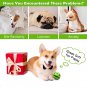 XFRJK Giggle Ball for Dogs Interactive Wobble Dog Giggle Balls Squeaky Dog Toy B