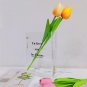 RIKW Clear Book Vase for Flowers,Artistic and Cultural Flavor Acrylic Book Flowe