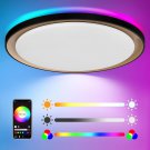 17.5 Inch Smart Flush Mount Ceiling Light, Compatible with Alexa and Google Assi