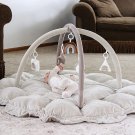 5-In-1 Thick & Plush Play Gym, Activity Gym & Play Mat, Cat Bed, Dog Bed, Conver