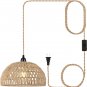 Plug in Pendant Light Hanging Lights with Plug in Cord 15Ft Farmhouse Hanging La