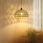 Plug in Pendant Light Hanging Lights with Plug in Cord 15Ft Farmhouse Hanging La