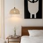 Plug in Pendant Light Hanging Lights with Plug in Cord 15Ft Farmhouse Hanging La