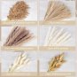 110Pcs Natural Pampas Grass Bouquet, Dried Flowers Boho Home Decor Bouquet with