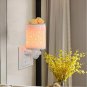 Plug in Wax Warmer, Wax Melt Warmer,Electric Cube Melter for Scents and Fragranc