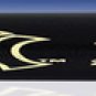 Aaron Judge NY Yankee Captain Black Art Bat
