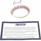 Jose Altuve Houston Astros Signed Autograph Official MLB Baseball Steiner Sports