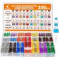 300Pcs Car Fuse Assortment Kit, 160 Mini Blade Fuses Automotive + 90 Standard Au