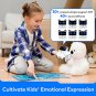 Codey Rocky Robot Toy, Programmable and Interactive Emo Robot for Kids 6+, STEM