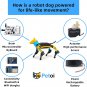 Bittle Robot Dog STEM Kit(Construction) - Coding Robot Building Kit - Programmab