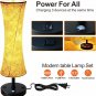 beside Table Lamp for Bedroom Set of 2, Table Lamps with USB a C Ports Prong AC
