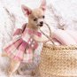 4 Pcs Plaid Dog Dress Bow Tie Harness Leash Set Harness Dress Small Dogs Cute Do
