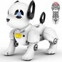 Remote Control Robot Dog Toy, Programmable Smart Interactive Robotic Pets, RC St