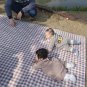 Extra Large Picnic Blanket Beach Blankets, 80''X80'' Picnic Mat Waterproof Sand