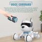 Robot Toy, Dancing Voice Command Remote Control Intelligent Smart Simulation Rob