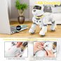 Remote Control Robot Dog Toy for Kids, Programmable Robotic Puppy, Smart Interac