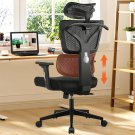 Office Chair Ergonomic Computer Desk Chair Upgrade Adjustable Lumbar Support, Br
