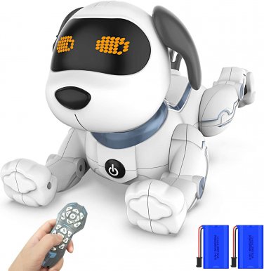 Robot Dog, Robot Toy for Kids with Remote Control Dog Toy for Kids, RC Puppy Int