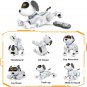 Robot Dog, Robot Toy for Kids with Remote Control Dog Toy for Kids, RC Puppy Int
