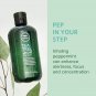 Tea Tree Special Shampoo, Deep Cleans, Refreshes Scalp, for All Hair Types, Espe
