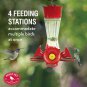 Perky-Pet 203CPBN-2 Pinch-Waist Glass Hummingbird Feeder with Perches, Built-In