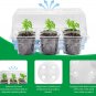 Seed Starter Tray with 4 Inch Clear Nursery Pots, 5-Pack Seedling Starter Kits w