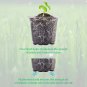 Seed Starter Tray with 4 Inch Clear Nursery Pots, 5-Pack Seedling Starter Kits w