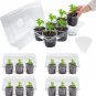 Seed Starter Tray with 4 Inch Clear Nursery Pots, 5-Pack Seedling Starter Kits w