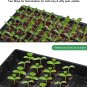 Seedling Trays Seed Starter Tray, 5-Pack Mini Propagator Plant Grow Kit Greenhou