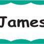 C-Line Pressure Sensitive Peel and Stick Name Badges, Green Border, 3.5 X 2.25 I