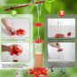 Hummingbird Feeder, Leak Proof Hummingbird Feeders for Outdoors Hanging Ant and