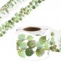 Eucalyptus Die-Cut Border Trim 36Ft per Roll Two Sided Printed Leaves Border for