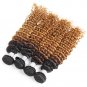 Ombre Deep Wave 4 Bundles Human Hair Extensions Real Human Hair Curly Bundles We