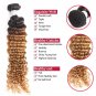 Ombre Deep Wave 4 Bundles Human Hair Extensions Real Human Hair Curly Bundles We